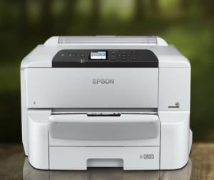 Epson heat free